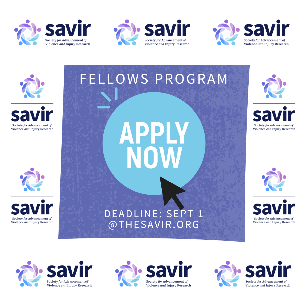 Apply for Fellows Program