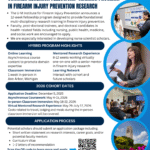 Summer Research Fellowship Training Program in Firearm Injury Prevention