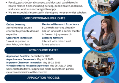 Summer Research Fellowship Training Program in Firearm Injury Prevention